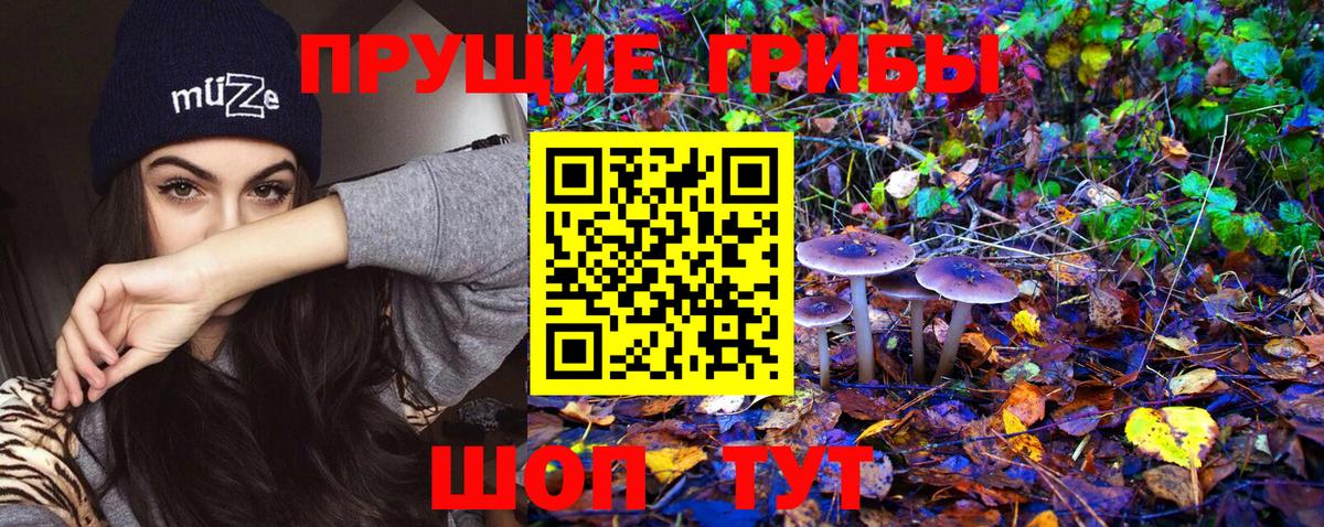 Псилоцибиновые грибы прущие грибы  Псилоцибиновые грибы MAGIC MUSHROOMS  Алапаевск  что такое   Вход с VPN 